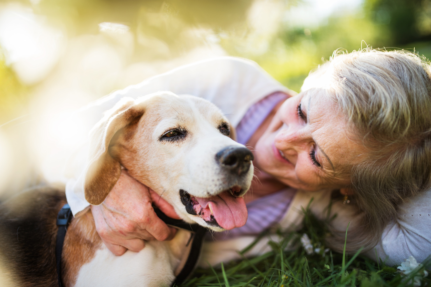 Senior Woman with Pet Dog